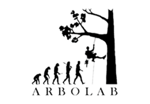 cursos-arbolab